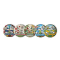 Americas Fan Badge Set ( 5 Pins ) - USA, Canada, Mexico, Argentina, Brazil - BLOOM GARDEN